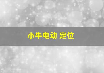 小牛电动 定位